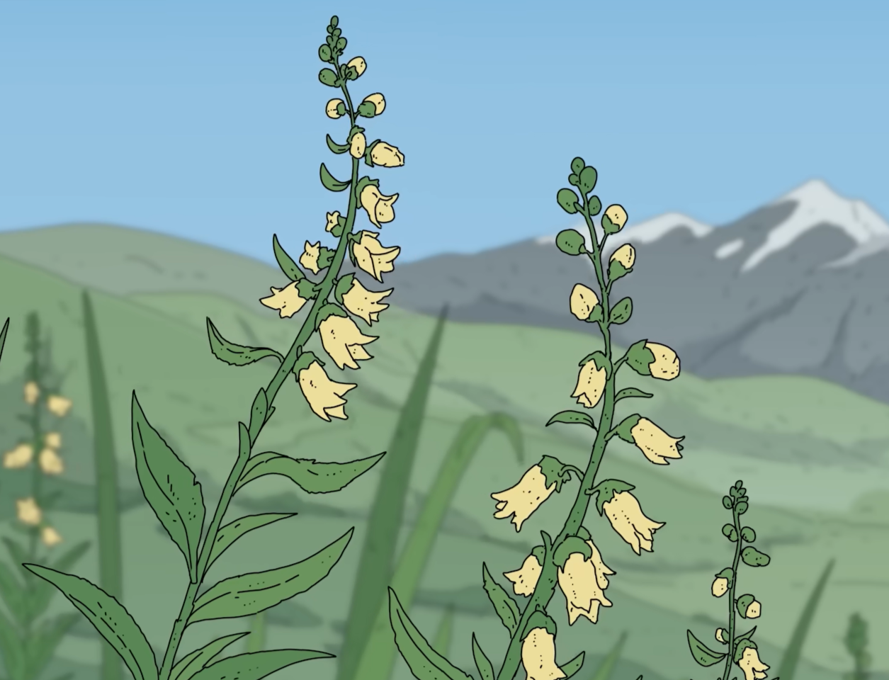 Mountain Pass Detail