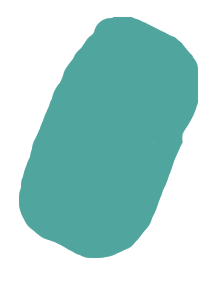 Frontal lobe