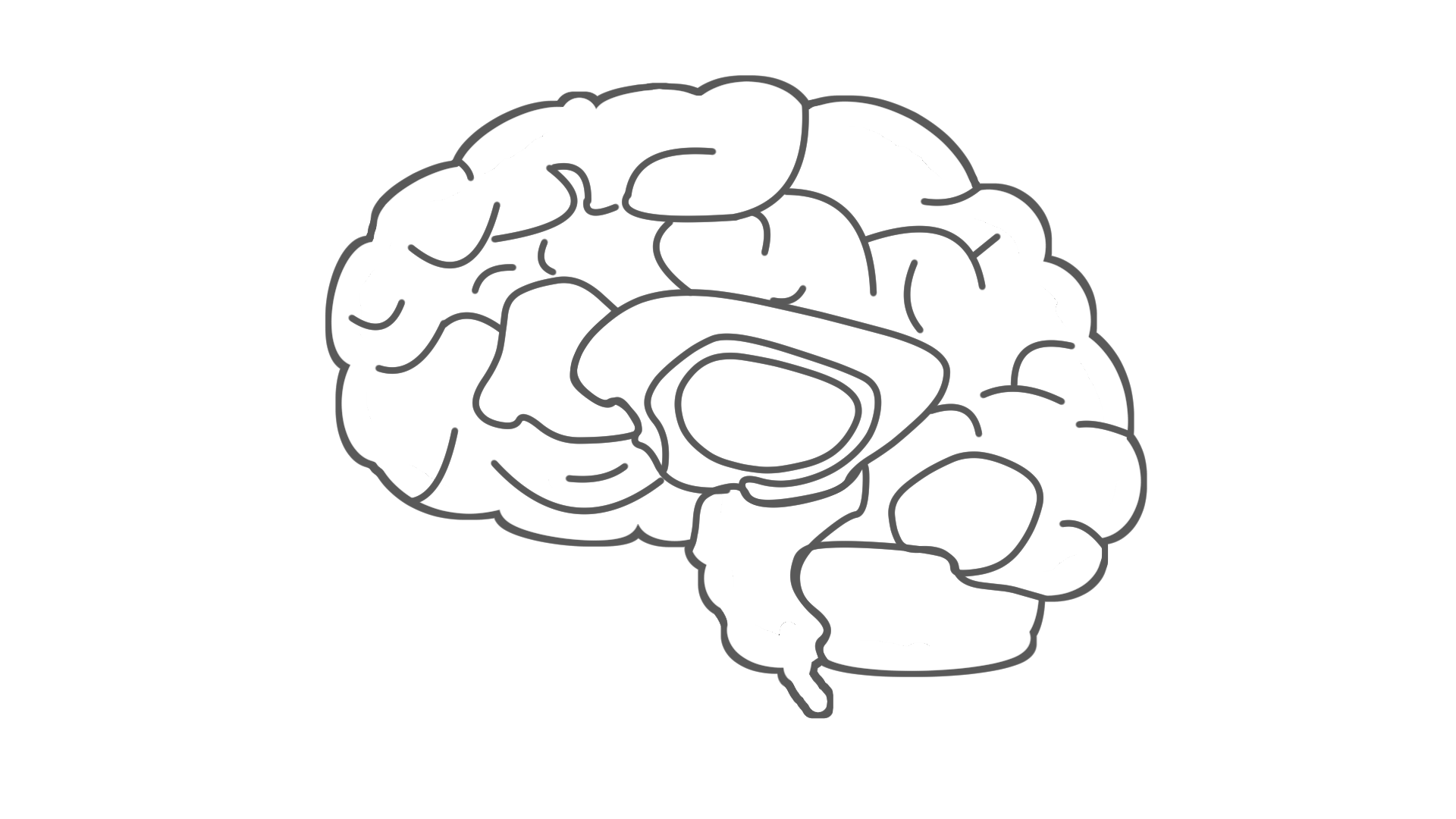 Vince's brain